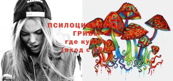 прущие крисы Алзамай