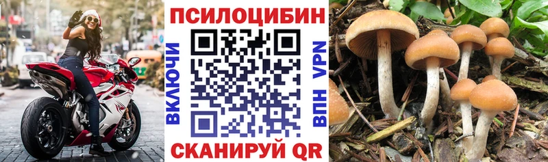 Галлюциногенные грибы GOLDEN TEACHER  Ачинск 