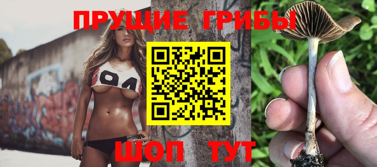 Галлюциногенные грибы GOLDEN TEACHER  Псилоцибиновые грибы Cubensis  Вход с VPN  Ачинск 